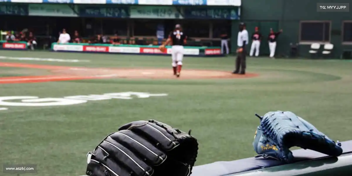 行业领先的理由